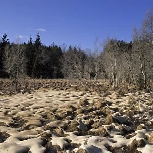 Acid rain, lime spread over wetland, to reduce acidity, Sweden