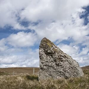 Ancient standing stone, Giants Stones, North Mainland, Shetland Islands, Scotland, June