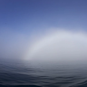Fogbow over calm sea, Svalbard