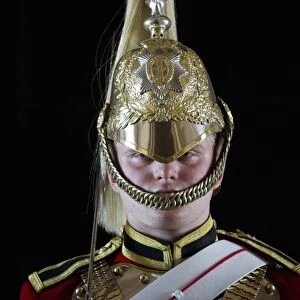 Household Cavalry mounted trooper in ceremonial uniform, Horse Guards, City of Westminster, London, England, april