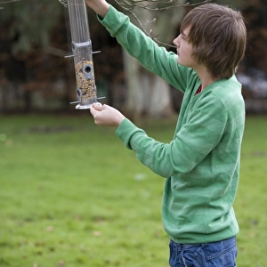 Teenage boy hanging birdfeeder from tree branch in garden, Portesham, Dorset, England, january