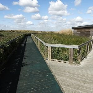 View of boardwalk and birdwatching hide in marshland habitat, Rainham Marshes RSPB Reserve, Thames Estuary, Essex