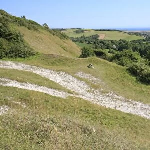 Isle of Wight Collection: Brighstone