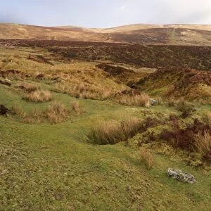 View of moorland habitat, Dartmoor, Devon, England, March