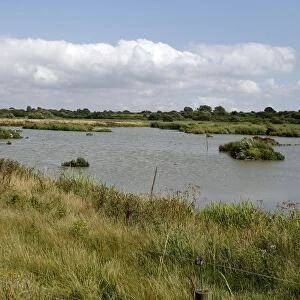 View of open water at wetland reserve, Titchfield Haven National Nature Reserve, Hampshire, England, August