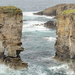View of sea cliffs and offshore stack, Yesnaby Castle, Yesnaby, Mainland, Orkney, Scotland, june