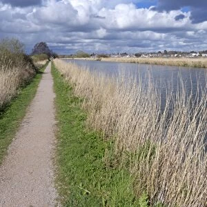 View of towpath and canal, Exeter Canal, South of Exeter, Devon, England, March