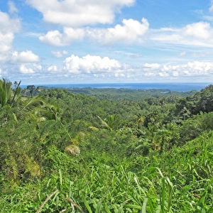 View over tropical rainforest habitat towards coast, Quilesse Forest Reserve, St