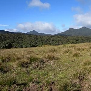 View over upland grassland and forest towards mountains, Horton Plains N. P. Sri Lanka, december