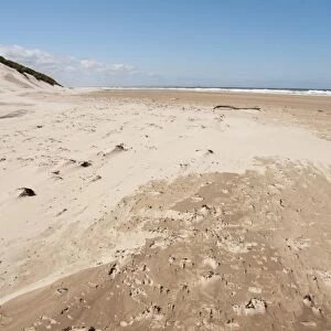 Windblown sand on beach and sand dunes, Bamburgh, Northumberland, England, july