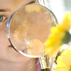 Young girl looking at flower through magnifying glass, England, october