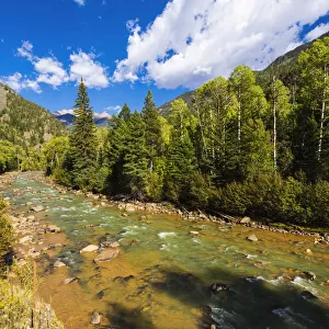 Animas River, San Juan National Forest, Colorado, USA. (Editorial Use Only)