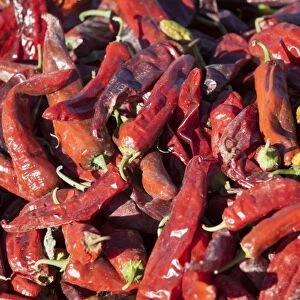 Argentina, Salta, Cafayate, how to dry chili