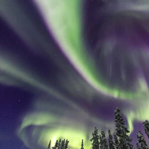 Aurora borealis, Northern Lights, near Fairbanks, Alaska