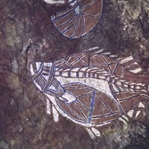 Australia, Northern Territory, Kakadu NP. Aboriginal cave painting of a fish, one