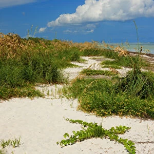 Bahia Honda Beach State Park, Florida Keys