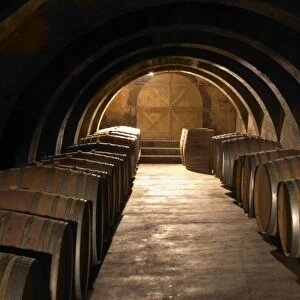 The barrel aging cellar with lines of barriques and dramatic lighting. Chateau Mourgues