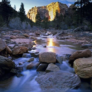 Bears Ears National Monument, Utah. USA. Creek in Arch Canyon. Manti-La Sal National Forest