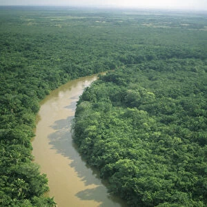 Belize, aerial of Belize River and lowland forest