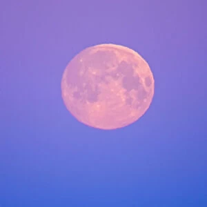 Canada, Manitoba, Dugald. Full moon at dawn. Credit as: Mike Grandmaison / Jaynes Gallery