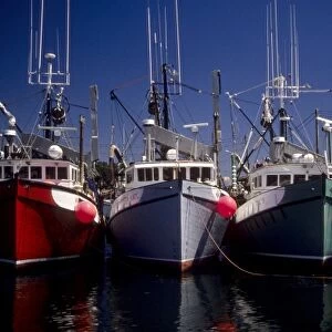 Canada: New Brunswick, Grand Manan, North Head Harbor, commercial fishing boats, July