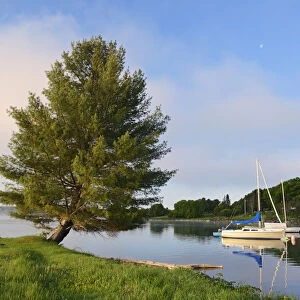 Canada, New Brunswick, Mactaquac. Boat and white pine