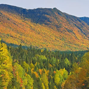 Canada, Quebec, Parc National de la Gaspesie. Autumn colors in Chic-Choc Mountains