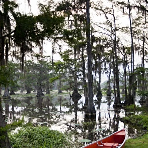 Canoe by Caddo Lake, Texass largest natural lake