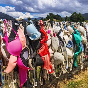 The Cardrona Bra Fence (Bradrona) supporting breast cancer, Otago, South Island