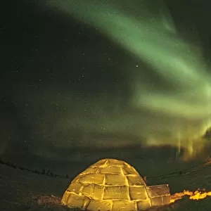 Churchill, Manitoba, Canada. Northern Lights shine above lit igloo