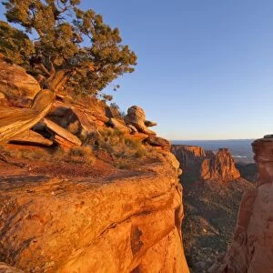 Cliffs of the Colorado National Monument catch mornings first light near Fruita, Colorado