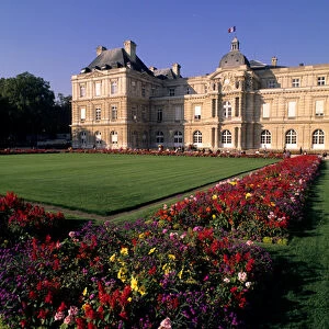 colorful flowers at Luxemburg Palace in Paris France