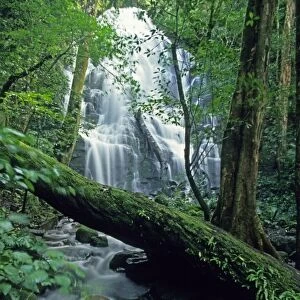 Costa Rica, Rincon de la Vieja, Las Pailas Waterfall, seasonal waterfalls in dry forest area