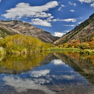 Cottonwoods, Maple and oak trees in fall color along Logan River, Utah, in the Wasatch