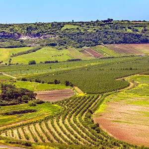 Countryside Farmland Farms Agriculture Obidos Portugal