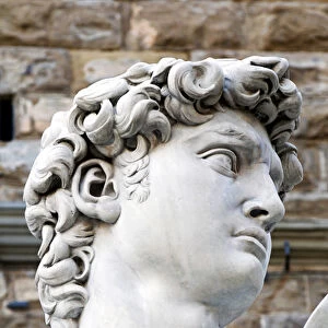 The David of Michelangelo (16th century), Piazza della Signoria, Florence (Firenze)