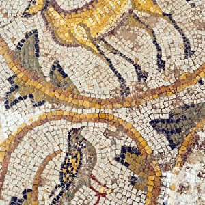 Deer mosaic, New House Of Hunt, Bulla Regia Archaeological Site, Tunisia, North Africa