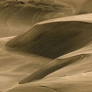 Drifting dunes, John Dellenback Dunes, Siuslaw National Forest, Coos County, Oregon