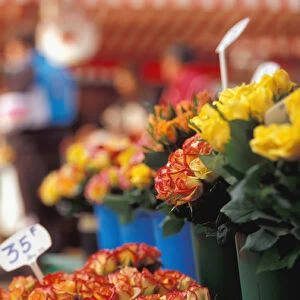 EU, France, Cote D Azur / French Riviera, Nice. Cours Saleya, Old Nice, Flower Market
