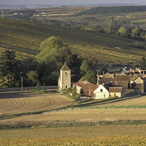 Europe, France, Burgundy, Milly, Yonne Vineyards of Chablis