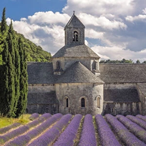 Europe, France, Provence. Lavender field and Senanque Abbey