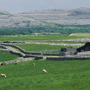 Europe, Ireland, County Clare. The Burren