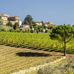 Europe, Italy, Chianti. Tuscan homes in the town of Panzano with vineyard below