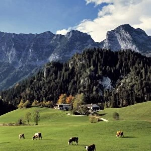 Germany, Bavaria, Ramsau. Chalets offer accommodation and a beautiful view near Ramsau in Bavaria