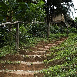 Goa, Panama. A pathway through the Embra Village in the rain forest of Panama