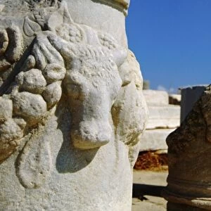 Greece, Aegean Sea, Delos. Ancient Greco-Roman ruins. Carved bull heads on marble