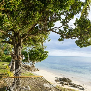 Hammock on a beach in Haa'apai, Haapai, islands, Tonga, South Pacific