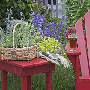 Ice tea rests on red chair while gardening
