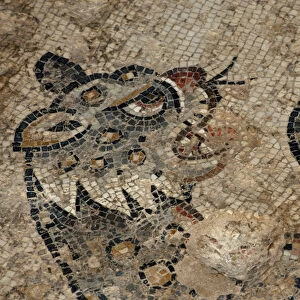 Israel, Lower Galilee, floor mosaic of a tiger from the mishnaic period at Zippori