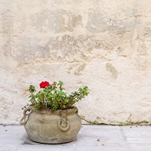 Italy, Basilicata, Matera. Potted plants outside the Sassi houses